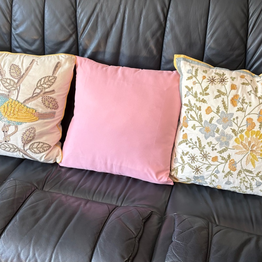 Pink and Embroidered Throw Pillows Set